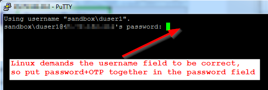 Entering 2-factor credentials into Linux SSH